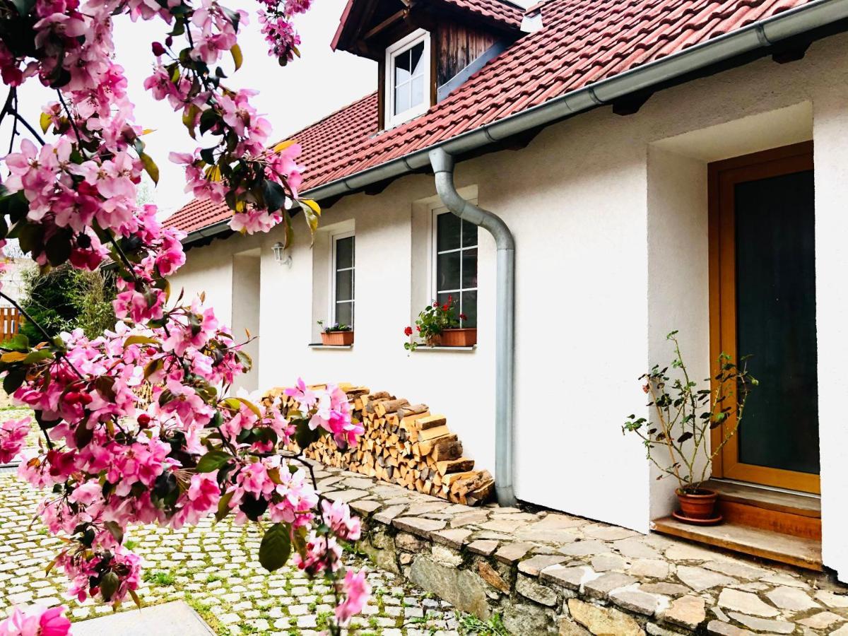 Apartmány Jílovice Exterior foto