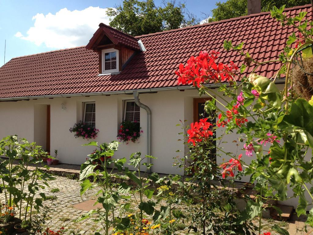 Apartmány Jílovice Exterior foto